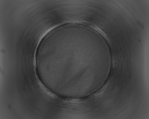 X0000090701028200708031409