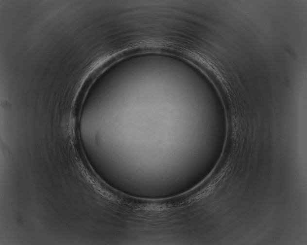 X0000090701029200708031409