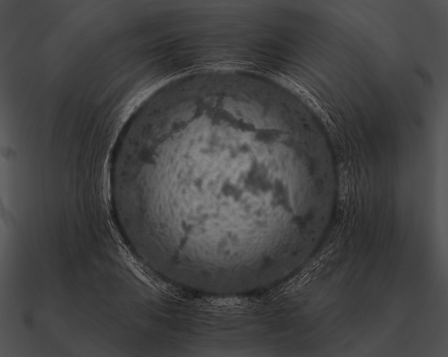 X0000090701031200708031409