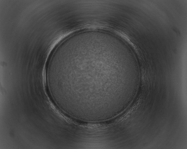 X0000090701032200708031409