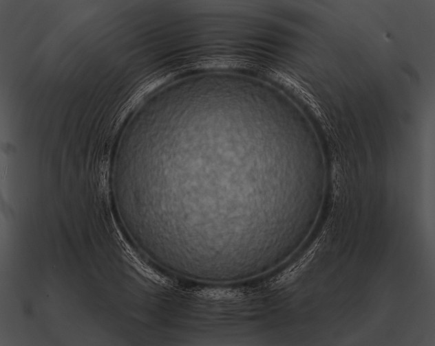 X0000090701033200708031409