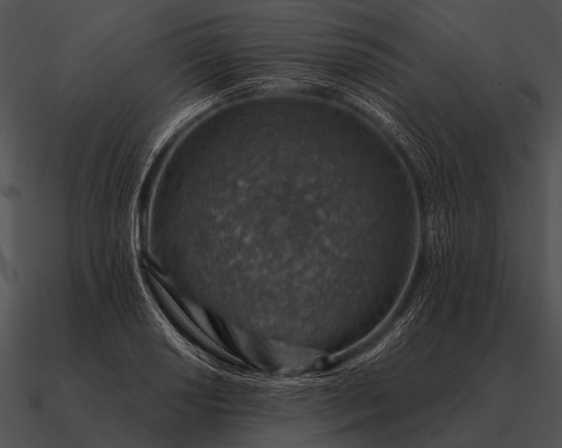 X0000090701034200708031409