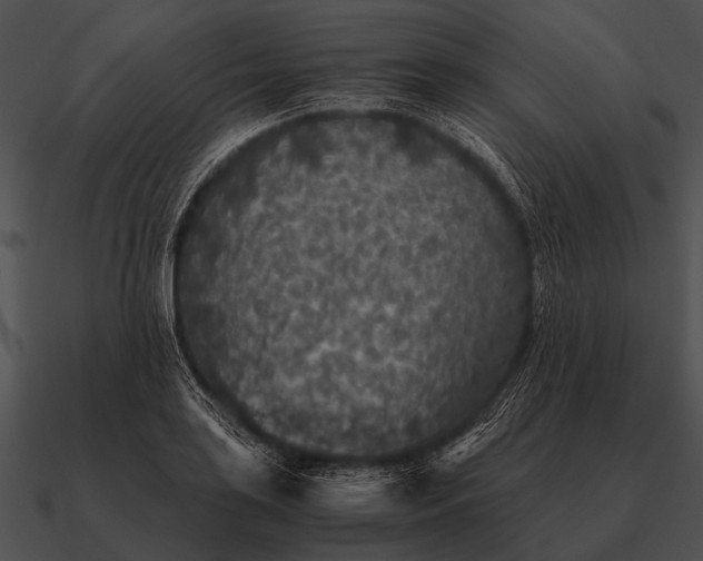 X0000090701035200708031409