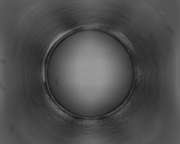 X0000090701036200708031409