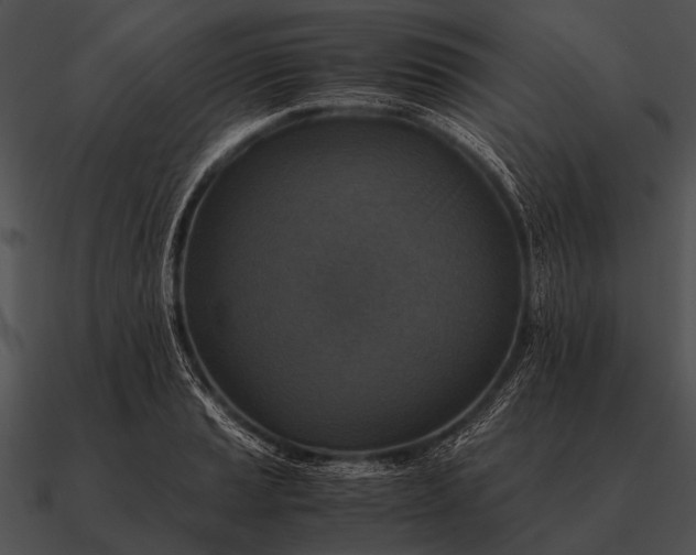 X0000090701037200708031409