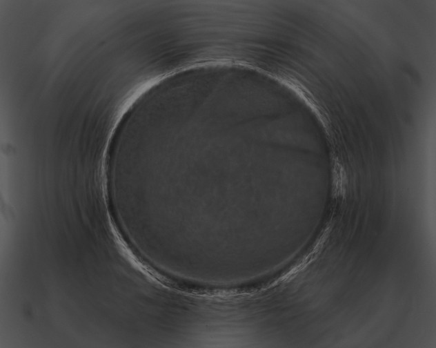 X0000090701038200708031409