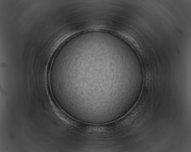 X0000090701039200708031409