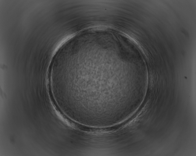 X0000090701042200708031409