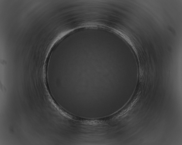 X0000090701045200708031409