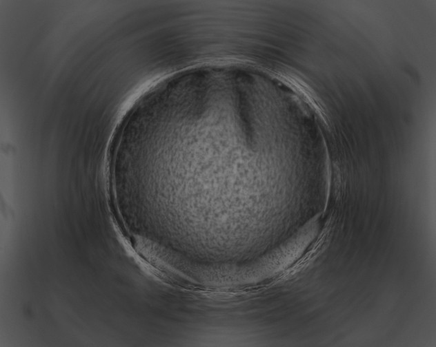 X0000090701046200708031409