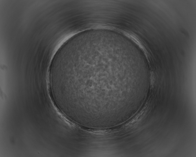 X0000090701048200708031409