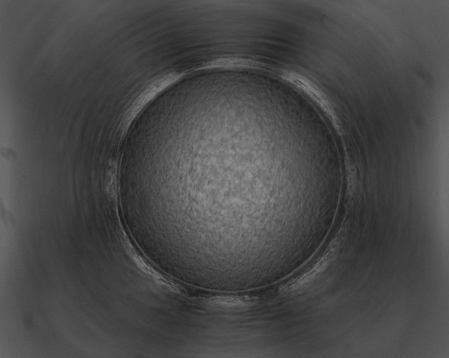 X0000090701049200708031409