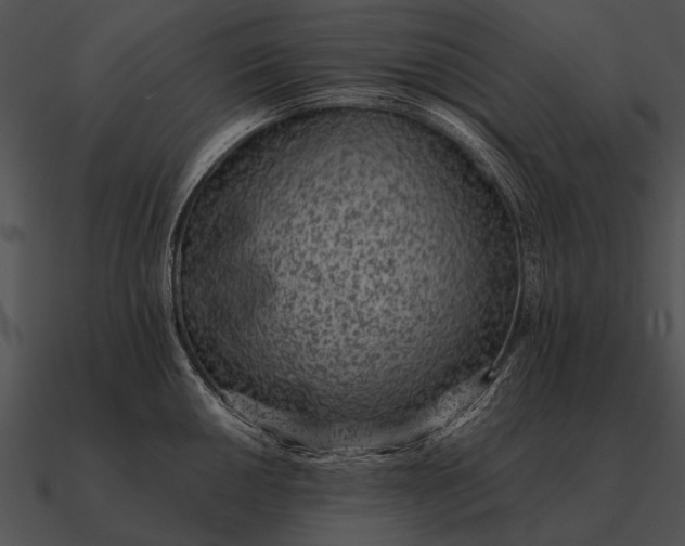 X0000090701050200708031409