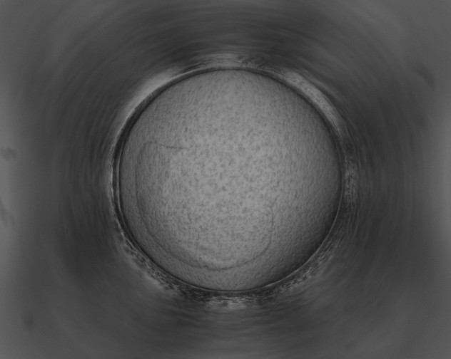 X0000090701051200708031409