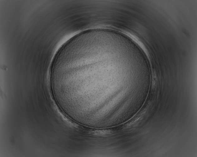 X0000090701053200708031409