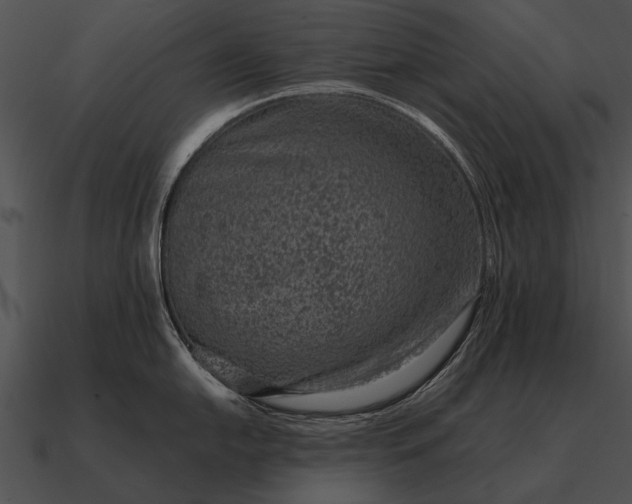 X0000090701054200708031409