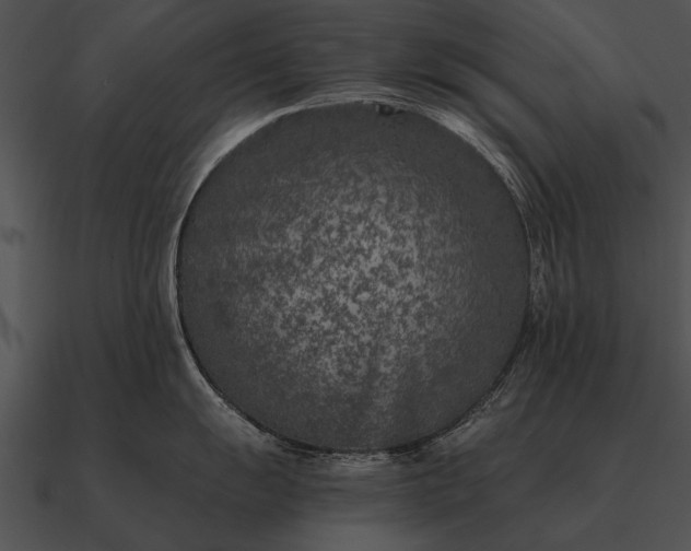 X0000090701055200708031409