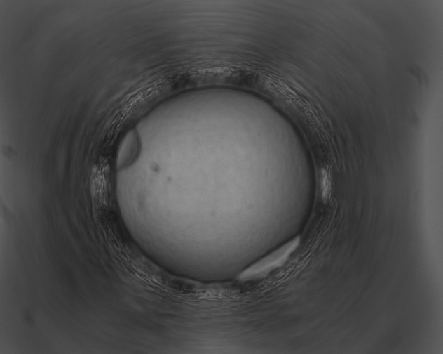 X0000090701059200708031408