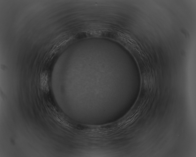 X0000090701060200708031408