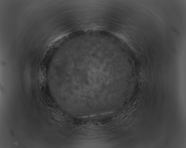 X0000090701063200708031408