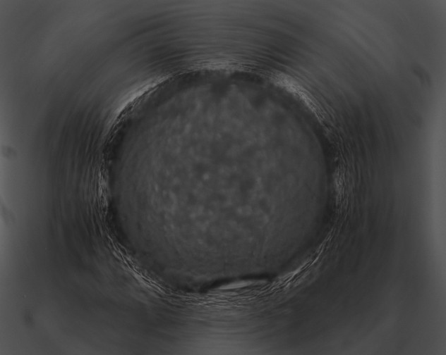 X0000090701064200708031408