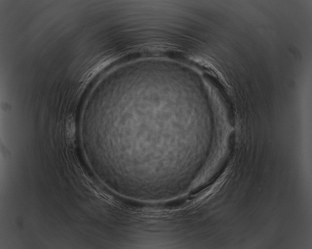 X0000090701065200708031408