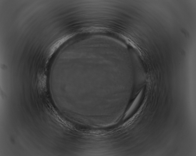 X0000090701066200708031408