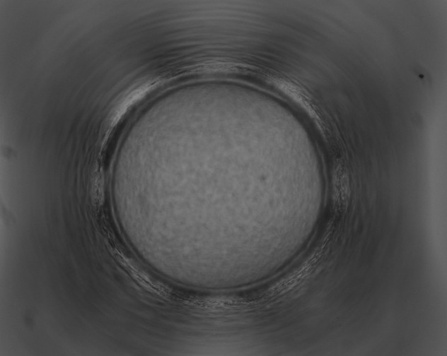 X0000090701067200708031408