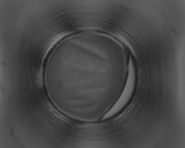 X0000090701068200708031408