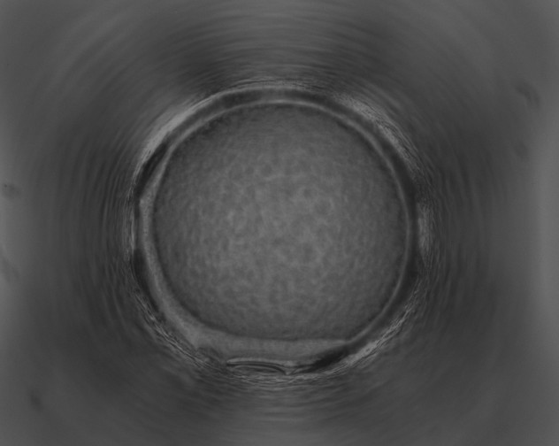 X0000090701069200708031408