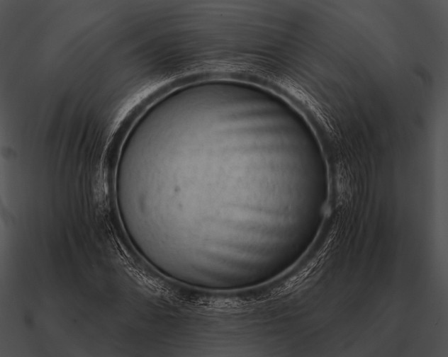 X0000090701070200708031408