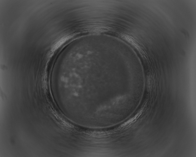 X0000090701071200708031408