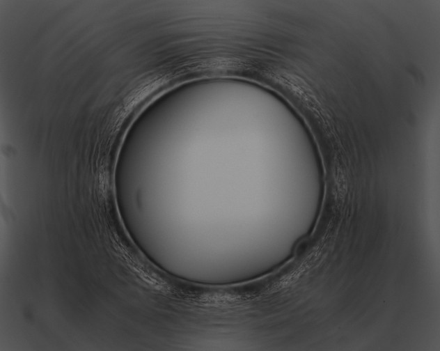 X0000090701073200708031408