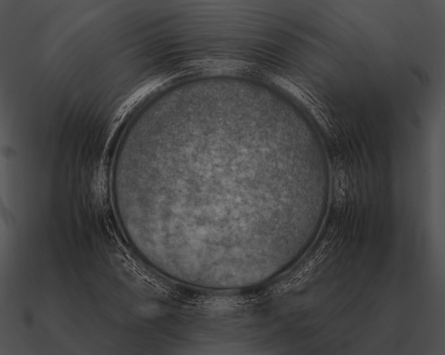 X0000090701074200708031408