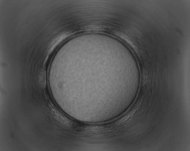 X0000090701075200708031408