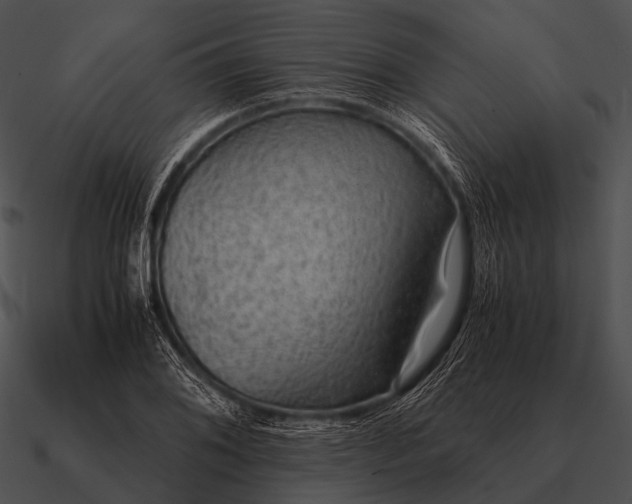 X0000090701076200708031408