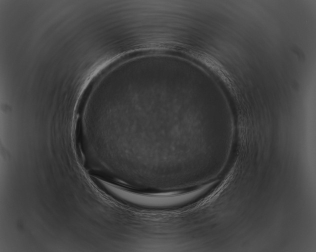 X0000090701077200708031408