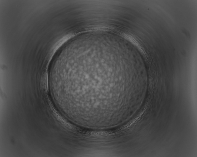 X0000090701079200708031408