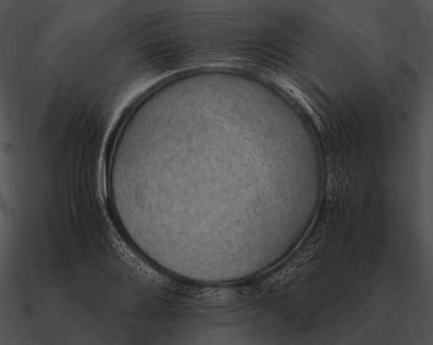 X0000090701080200708031408