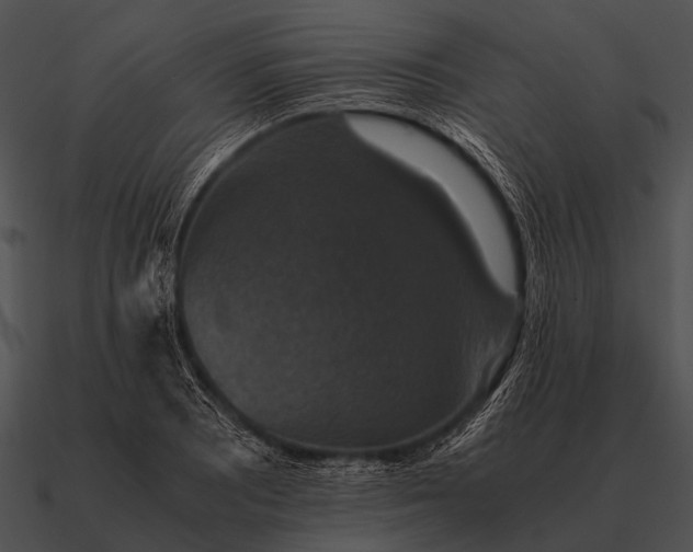 X0000090701081200708031408