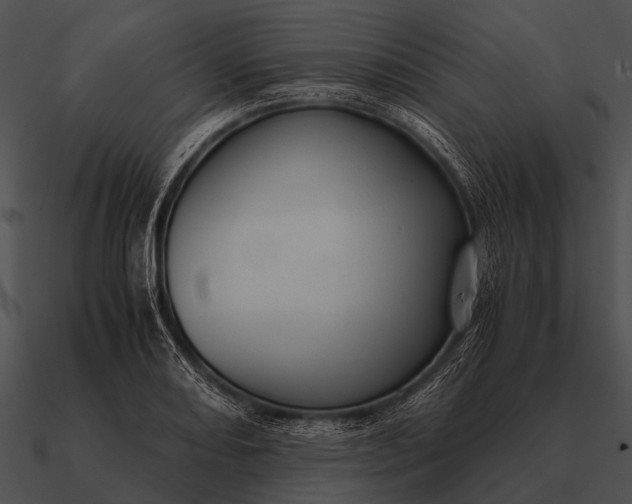 X0000090701082200708031408