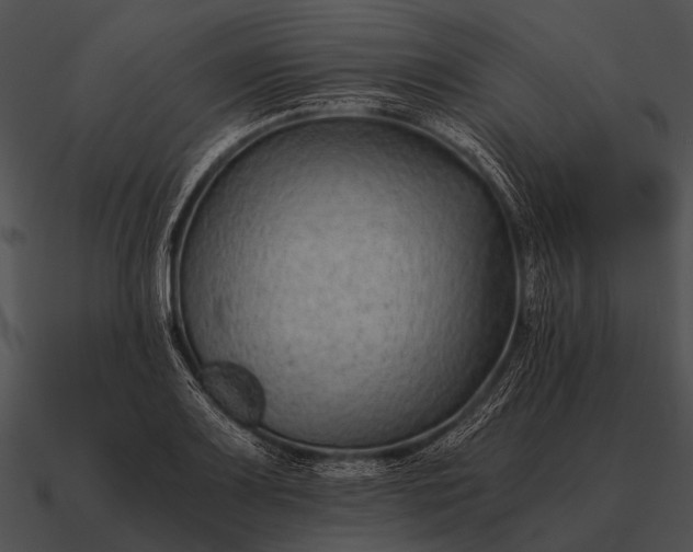 X0000090701083200708031408