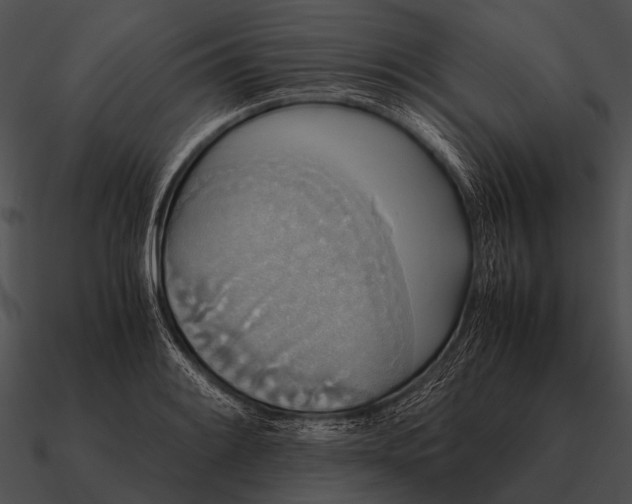 X0000090701084200708031408