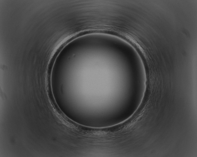 X0000090701085200708031408