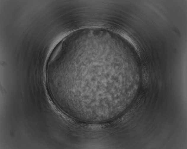 X0000090701088200708031408