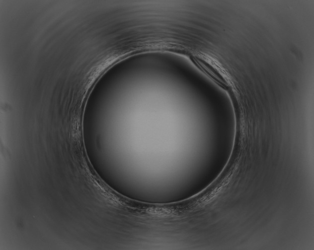 X0000090701089200708031408