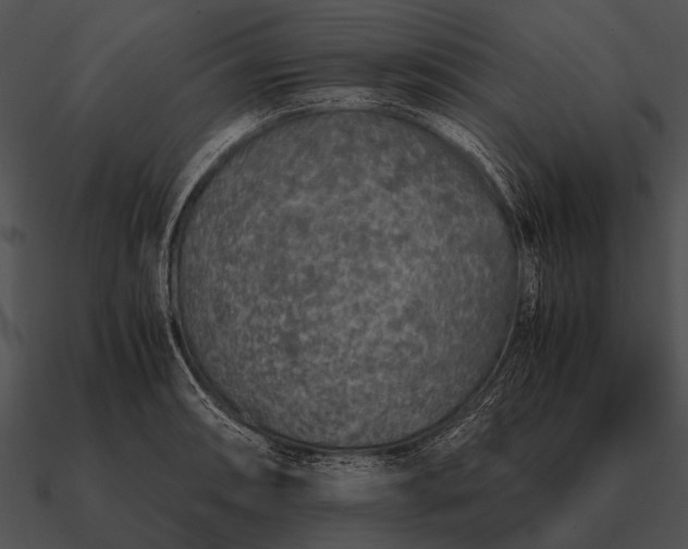 X0000090701090200708031408