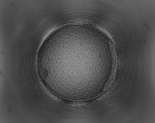 X0000090701091200708031408