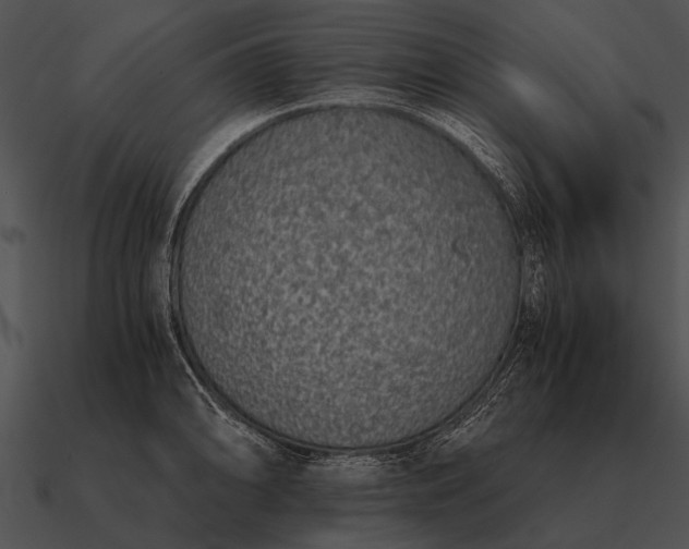 X0000090701094200708031408