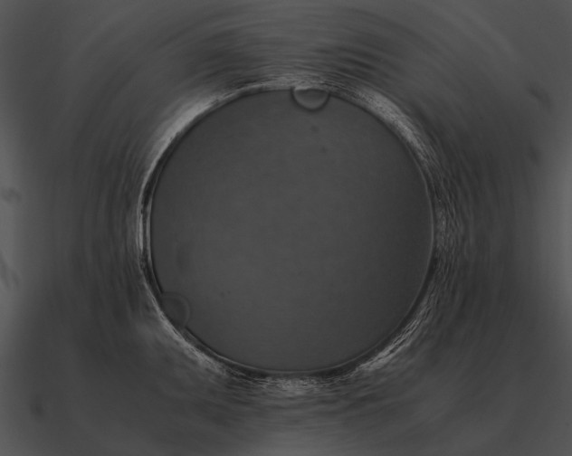 X0000090701095200708031408